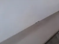 الباب الأمامى الأيمن
