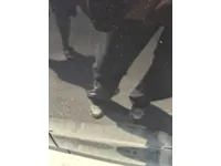 الباب الخلفى الأيسر