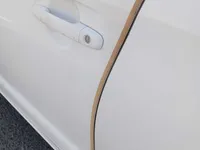 Front left door