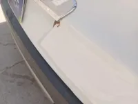 Trunk / Boot door