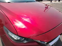 Bonnet