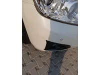 Front left door