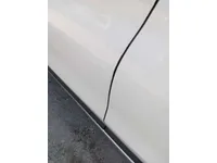 Rear left door