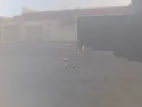 الباب الخلفى الأيسر