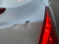 Trunk / Boot door