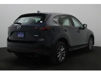More images