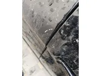 Rear left door