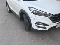 More images