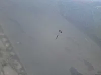 الباب الخلفى الأيسر