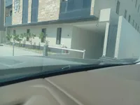 Windshield