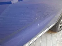 Rear left door