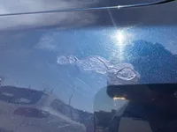 Left Fender