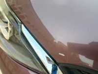 Bonnet