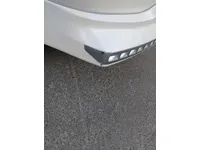 Rear left door