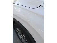 Front left door