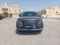 More images