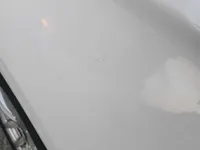 Front left door