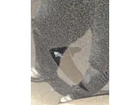 Front left door