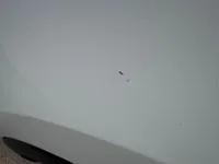 الرفرف الجانبى الأيمن