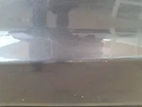 الباب الأمامى الأيمن