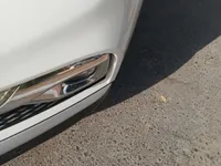 Rear left door
