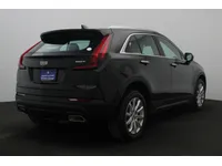 More images