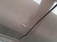 Rear right door
