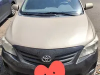 More images