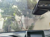 الزجاج الأمامي