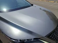 Bonnet