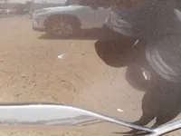 الباب الخلفى الأيسر