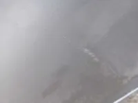 الباب الخلفى الأيسر