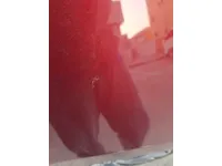 ألواح هيكل السيارة الأيسر