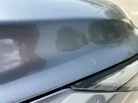 Bonnet
