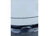 Bonnet