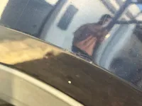 ألواح هيكل السيارة الأيسر