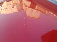 الباب الأمامى الأيسر