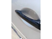 Front left door