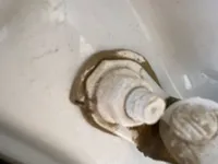 الباب الخلفى الأيسر