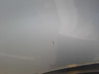 الباب الخلفى الأيسر