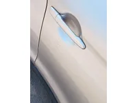 Front left door