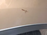 الباب الأمامى الأيسر