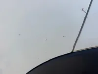 الباب الخلفى الأيسر