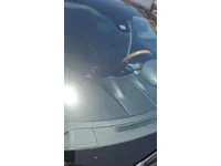 Windshield