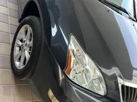 More images