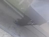 Front left door