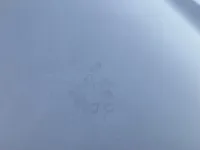غطاء المحرك (الكبوت)