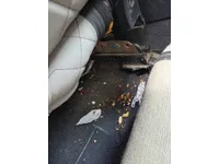 Scratched/Dented