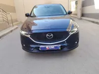 More images