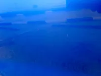 الباب الأمامى الأيمن